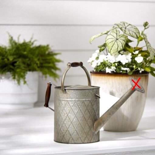 Regadora Para Plantas Jardines 6 L Better Homes & Gardens_1