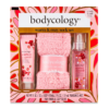 Bodycology Set Fragancia Perfume Crema Strawberry Cheesecake_0