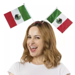 6 Pza Diadema Bandera Mexico Tricolor Fiestas Patrias Mexico_0